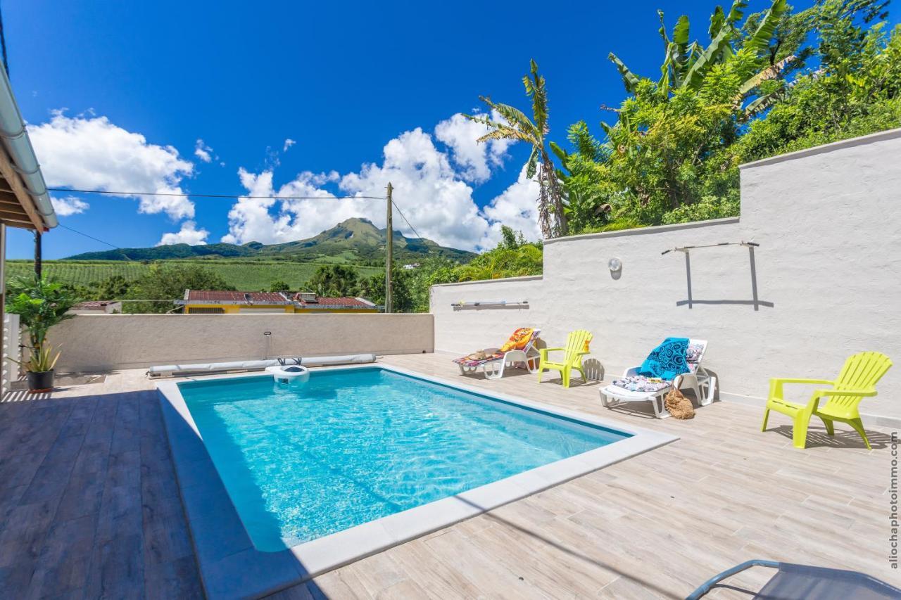 Heliconia - Appt Avec Piscine Partagee Appartement Saint-Pierre Buitenkant foto